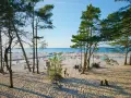 Słoneczna dębki plaża z piaszczystym wybrzeżem, turkusowym morzem i sosnami. Ludzie odpoczywają, bawią się i spacerują.