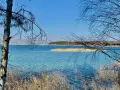 Turkusowe jezioro w Koninie, otoczone trzcinami i nagimi gałęziami drzew, lśni w słońcu.