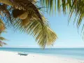 Palmy, kokosy i łódka na białej plaży. Marzysz o podróży? Sprawdź, ile się leci na Madagaskar!
