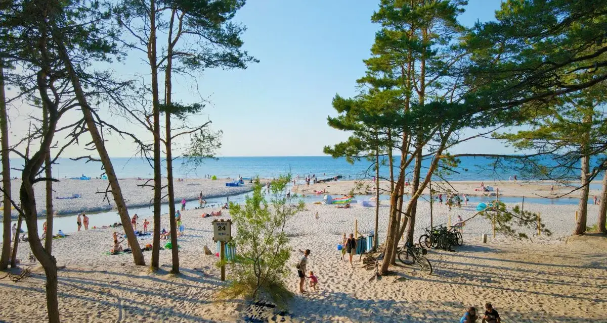 Słoneczna dębki plaża z piaszczystym wybrzeżem, turkusowym morzem i sosnami. Ludzie odpoczywają, bawią się i spacerują.