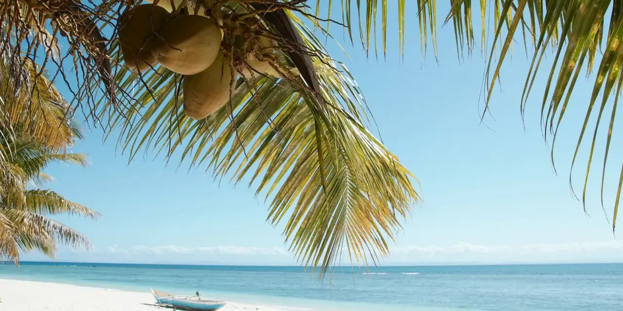 Palmy, kokosy i łódka na białej plaży. Marzysz o podróży? Sprawdź, ile się leci na Madagaskar!