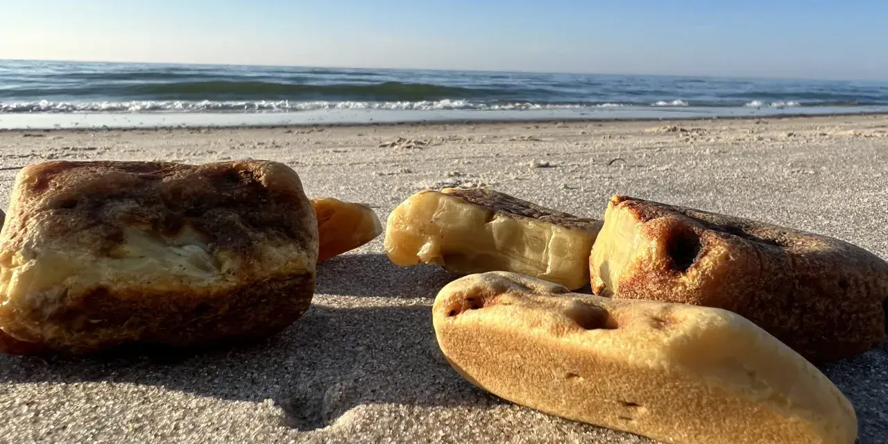 Jak rozpoznać bursztyn na plaży? Kilka kawałków bursztynu leży na piasku przy morzu.