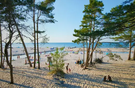 Słoneczna dębki plaża z piaszczystym wybrzeżem, turkusowym morzem i sosnami. Ludzie odpoczywają, bawią się i spacerują.