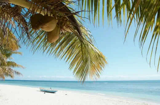 Palmy, kokosy i łódka na białej plaży. Marzysz o podróży? Sprawdź, ile się leci na Madagaskar!