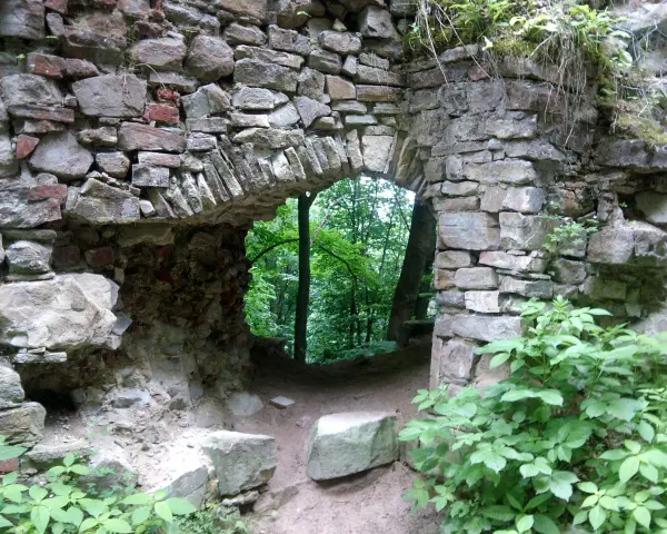Kamienne ruiny zamku kostryn, zarośnięte zielenią, prowadzą do tajemniczego lasu.