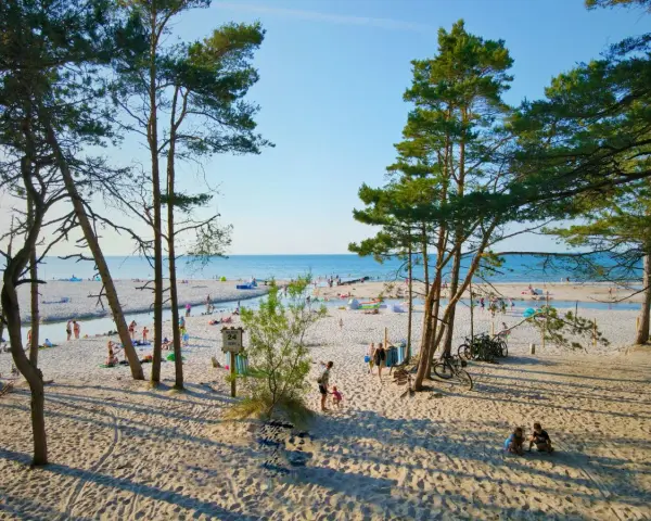 Słoneczna dębki plaża z piaszczystym wybrzeżem, turkusowym morzem i sosnami. Ludzie odpoczywają, bawią się i spacerują.