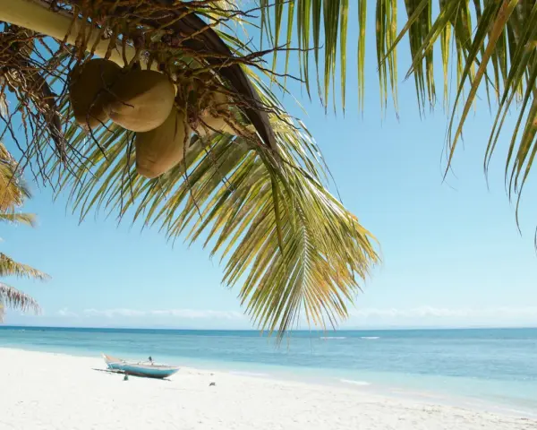 Palmy, kokosy i łódka na białej plaży. Marzysz o podróży? Sprawdź, ile się leci na Madagaskar!