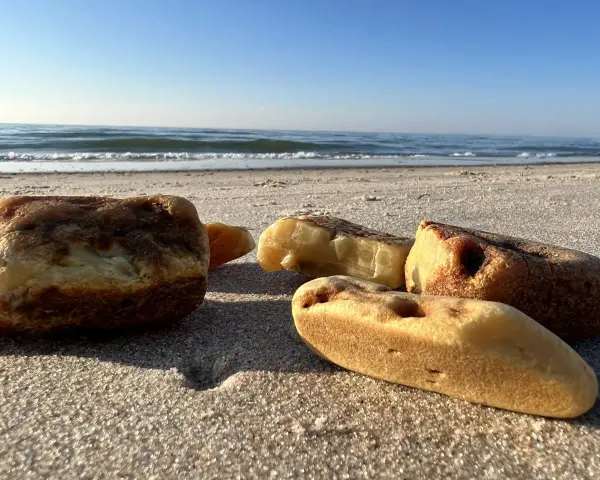 Jak rozpoznać bursztyn na plaży? Kilka kawałków bursztynu leży na piasku przy morzu.