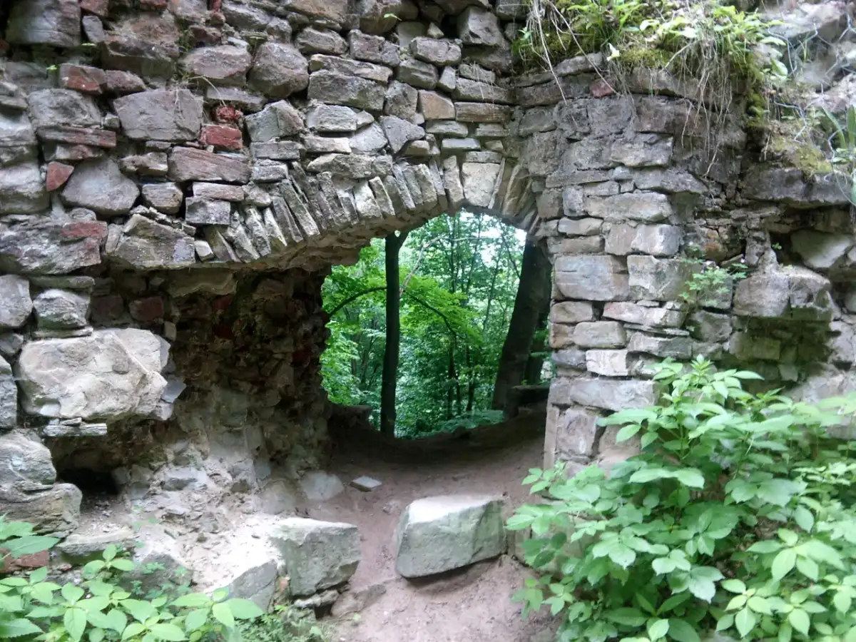 Kamienne ruiny zamku kostryn, zarośnięte zielenią, prowadzą do tajemniczego lasu.