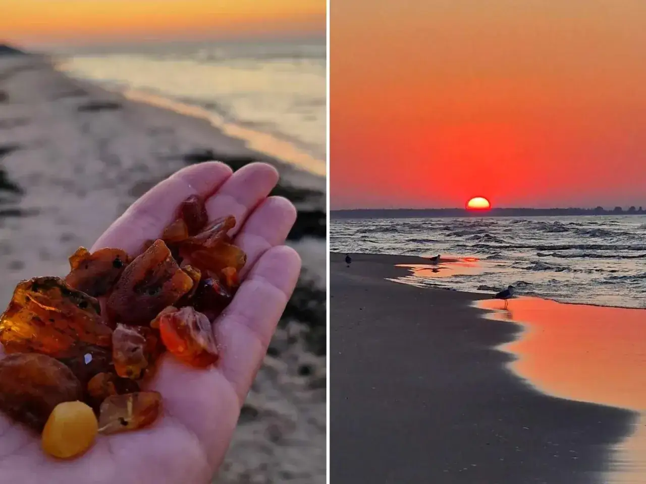 Zachód słońca nad morzem, a w dłoni garść bursztynów. Takie skarby można znaleźć, wiedząc jak rozpoznać bursztyn na plaży.