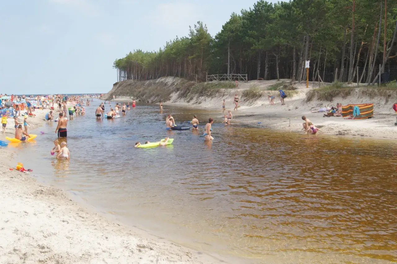 Dębki plaża tętni życiem. Ludzie kąpią się w rzece, opalają na piasku i relaksują wśród sosnowego lasu.