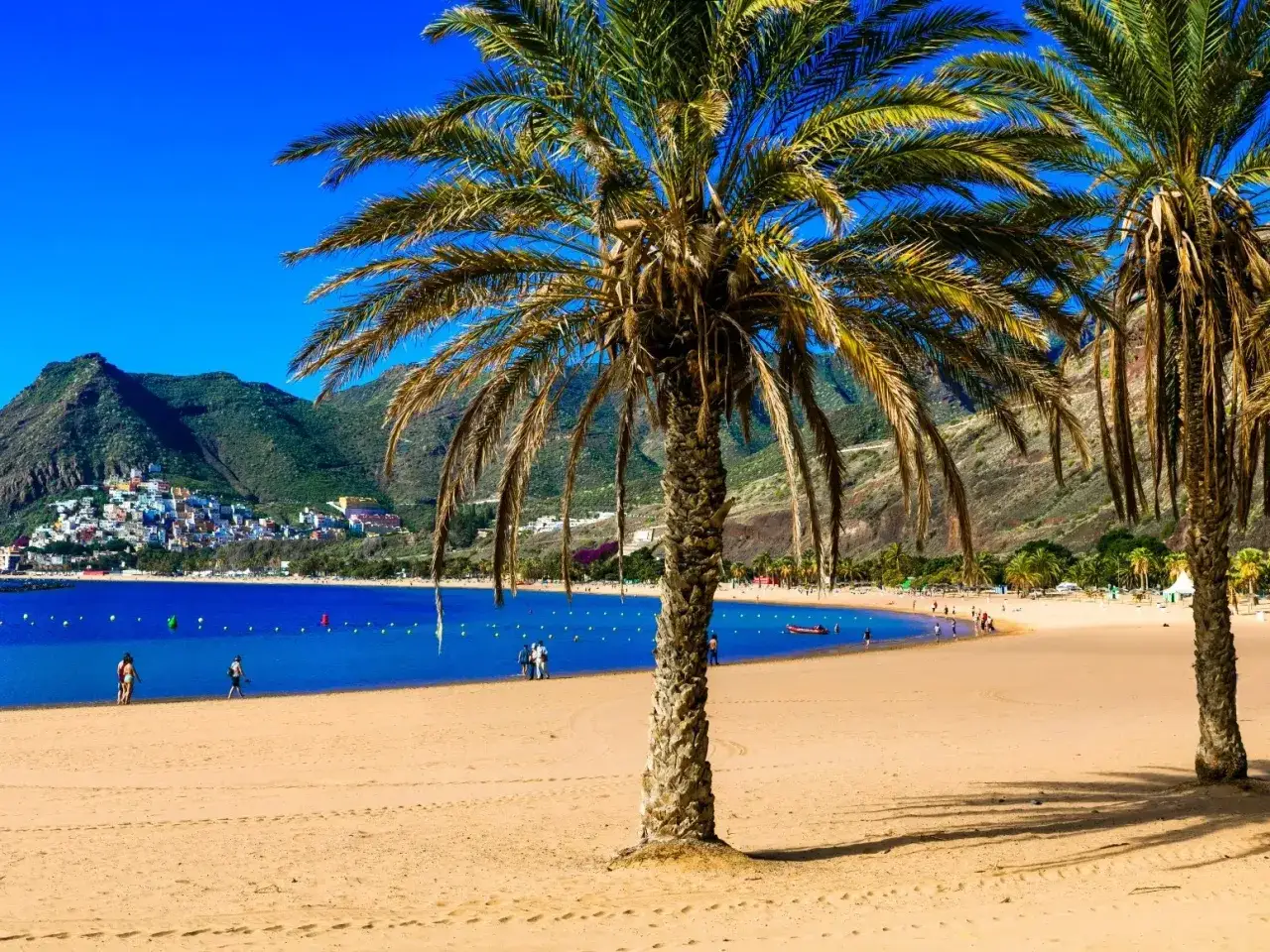Palmy na plaży, błękitne morze i góry w tle. Idealne miejsce na wakacje, zastanawiasz się, ile się leci na Wyspy Kanaryjskie?