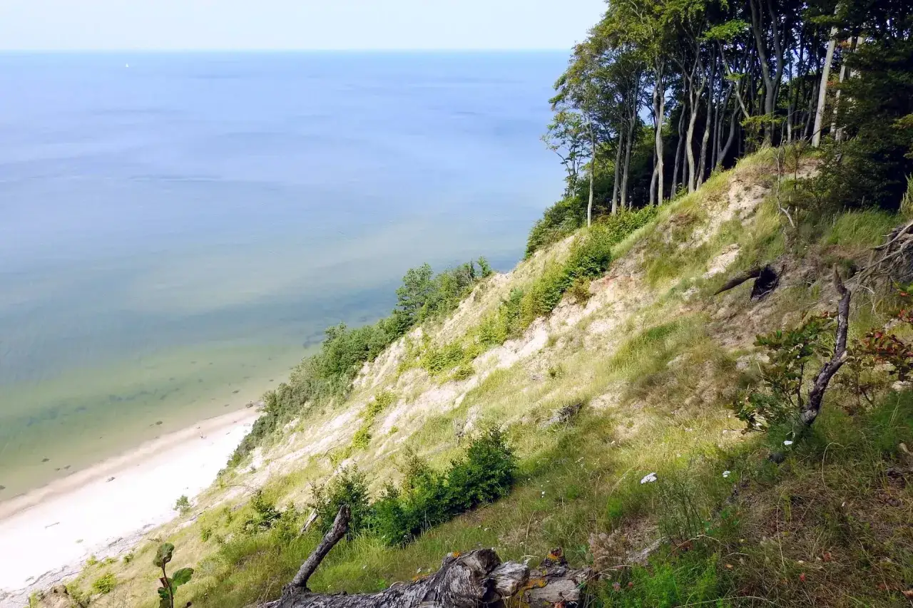 Piękny klif nad morzem, idealne miejsce, gdzie nad morze w Polsce. Widać piaszczystą plażę i las bukowy.