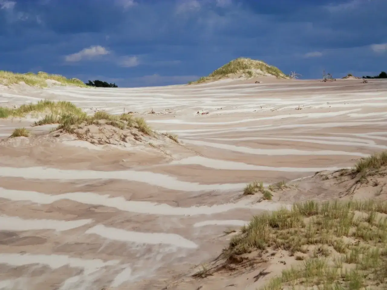 Pustynia ruchomych wydm w Łebie, idealne miejsce na piesze wędrówki i podziwianie krajobrazów. Łeba atrakcje dla dorosłych to nie tylko plaża, ale i te niezwykłe tereny.